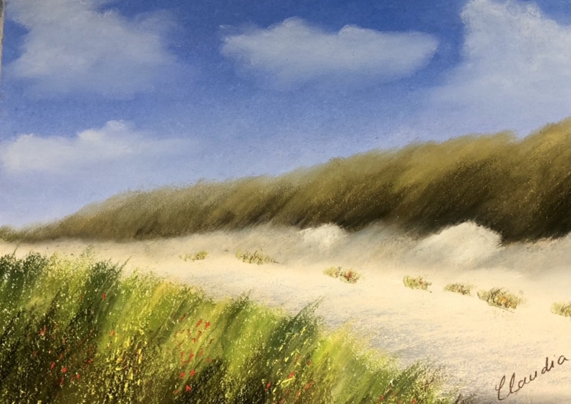 Dünenlandschaft